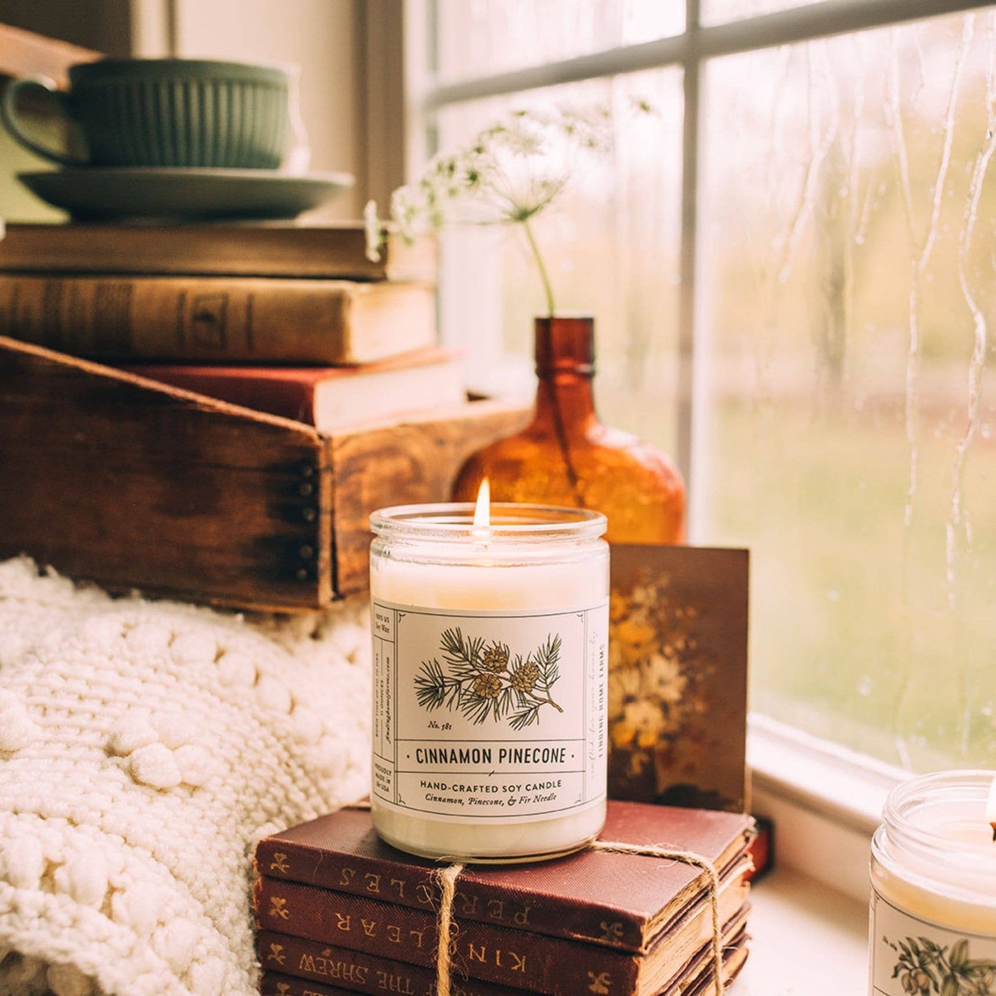 Cinnamon Pinecone Soy Candle, A Warm & Spicy Fall into Winter Scent