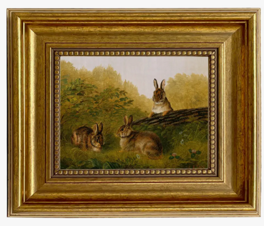 Bunnies playing in a country field